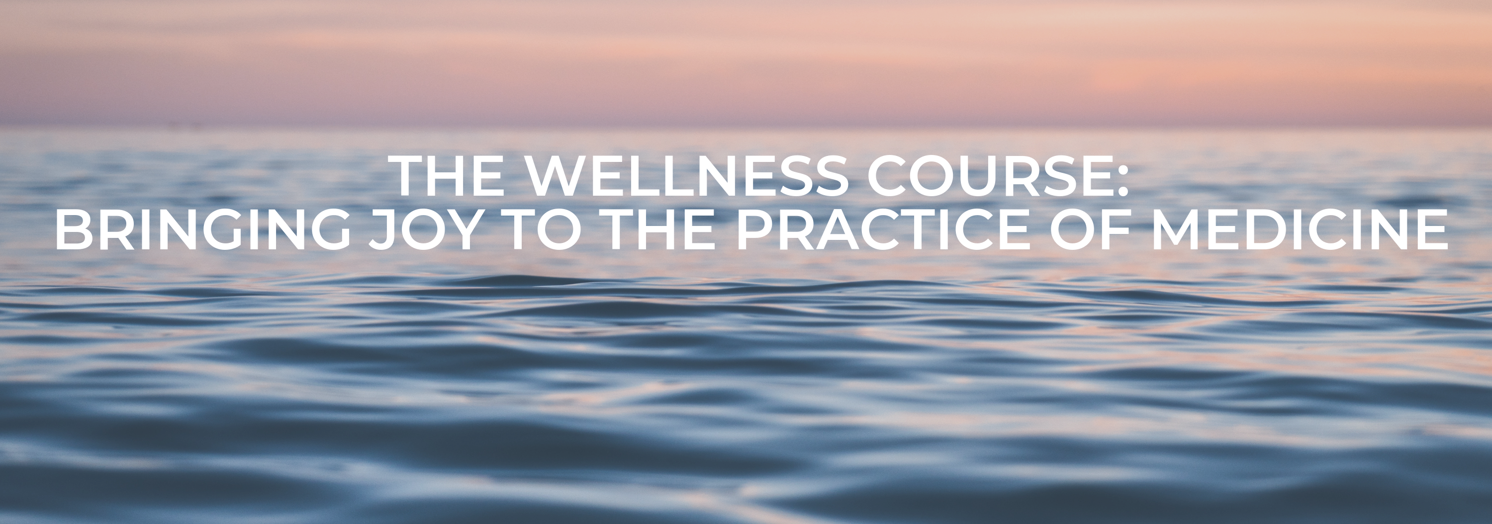 The Wellness Course: Bringing Joy to the Practice of Medicine Banner